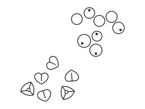 Illustration Hirse und Buchweizen