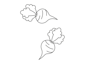 Illustration Rote Bete