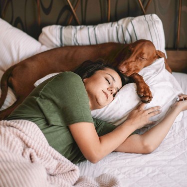 Junge Frau liegt mit einem Hund schlafend in einem Bett