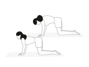 Illustration Rückenübung Katze-Kuh