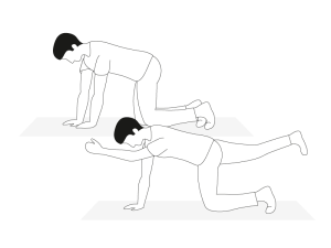 Illustration Rückenübung Vierfüßlerstand