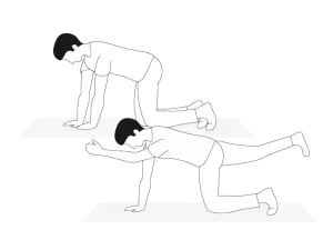 Illustration Rückenübung Vierfüßlerstand